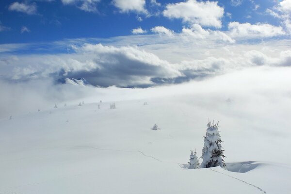 View of clouds high in the mountains