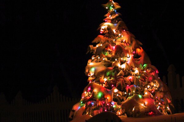 Árbol de Navidad decorado con luces de noche