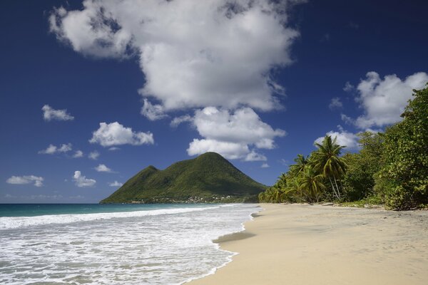 Côte de l océan sur les îles tropicales