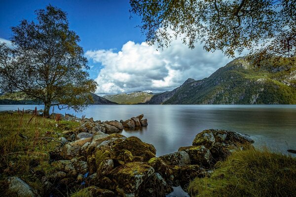 La beauté de leur Norvège. Nuages moelleux et collines verdoyantes