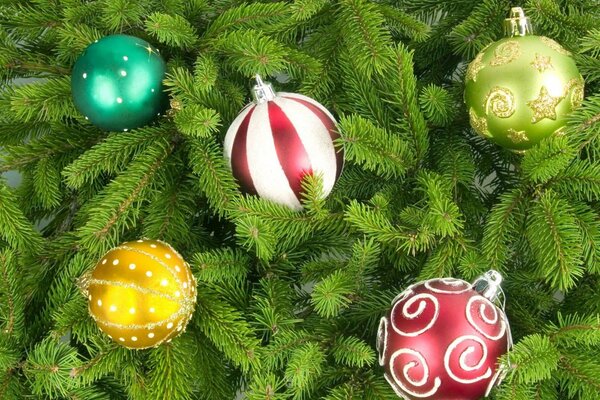 Festive balloons on green fir branches