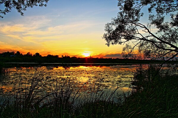 Bellissimo tramonto serale sul lago