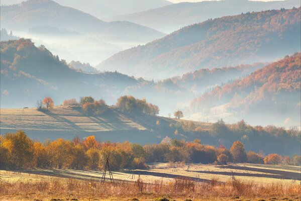 Wzgórza i drzewa w chmurze i mgle