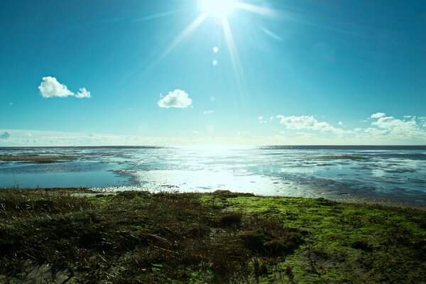 Strand am sonnigen Tag am Meer