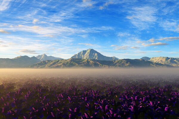 Haze in the field above the flowers