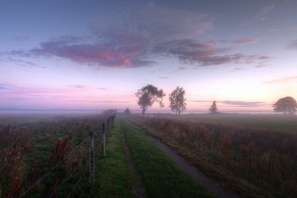 The road leading into the misty distance