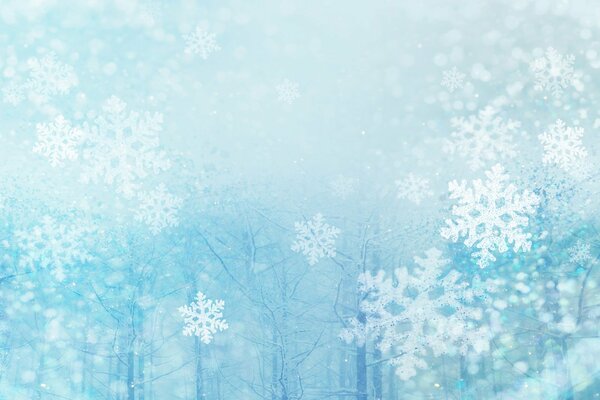 Paysage d hiver, flocons de neige sur la fenêtre