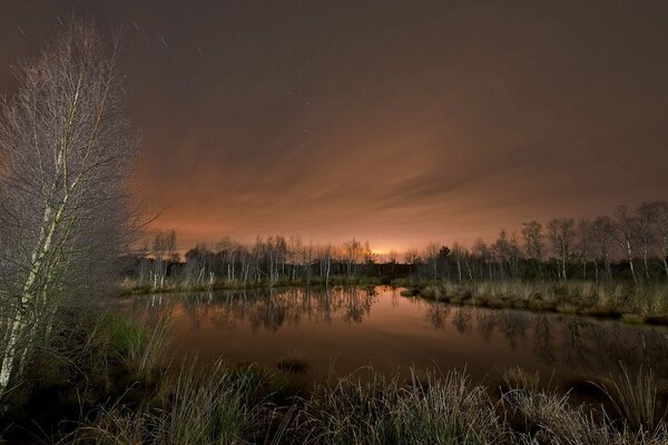 Lac de nuit dans le bosquet de bouleaux