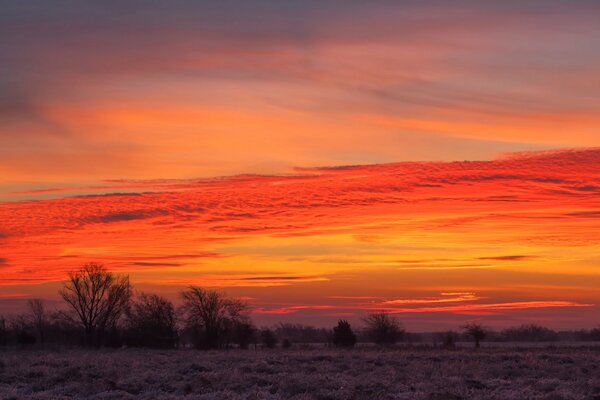 Scharlachroter Sonnenuntergang über einem verlassenen Feld