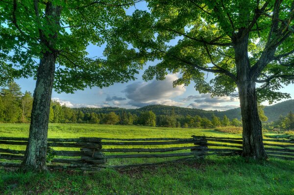 Fence on the background of a green meadow in New York