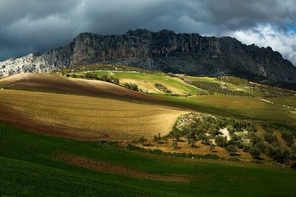 Árboles en el valle al pie de las montañas