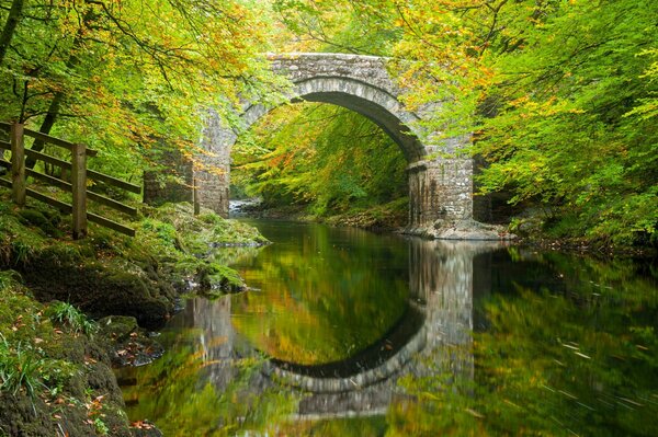 Naturaleza en Inglaterra. Río y bosque