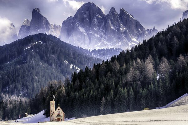 Forest area with snow slopes