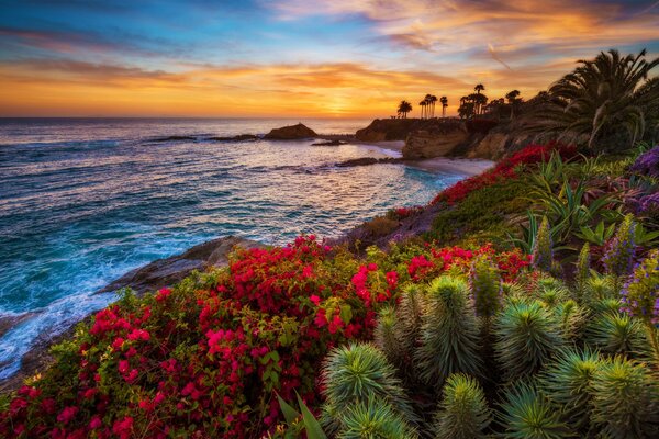 Sea coast with palm trees and flowers