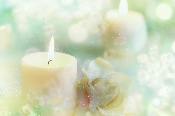 Composition in pastel colors with candles, roses and luminous highlights