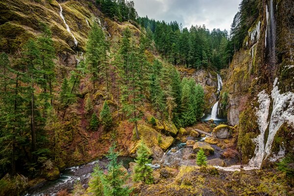 Cascata sullo sfondo di montagne e alberi