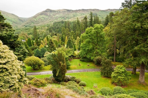 Botanic Garden in Scotland