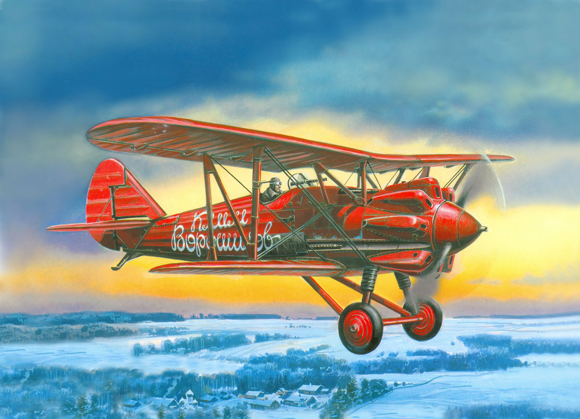 art sky i-5 soviet fighter biplane soviet air force land forest village picture