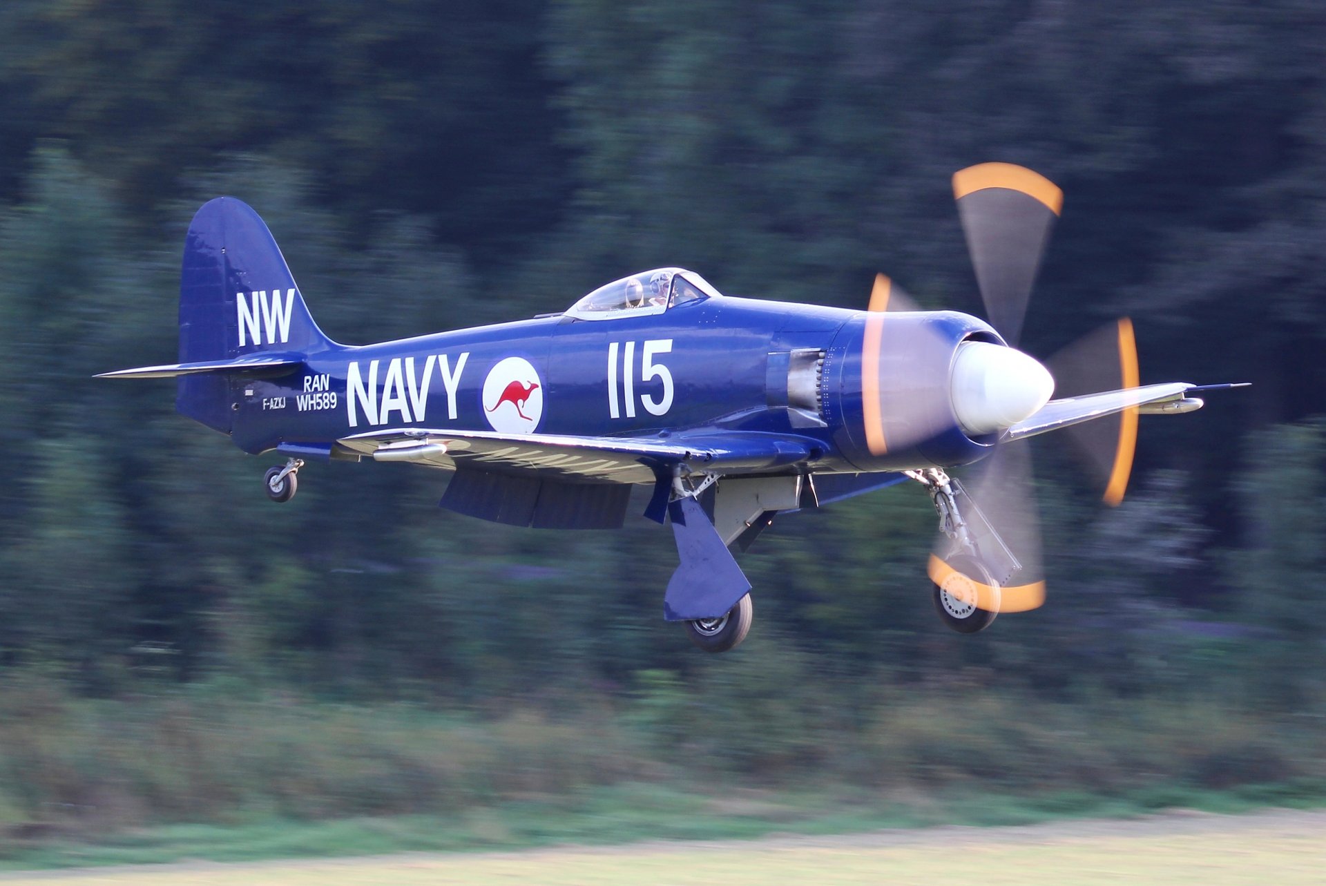 hawker rabbia mare fb.11 ran monoposto cacciabombardiere nave e campo d aviazione marina australiana ww2