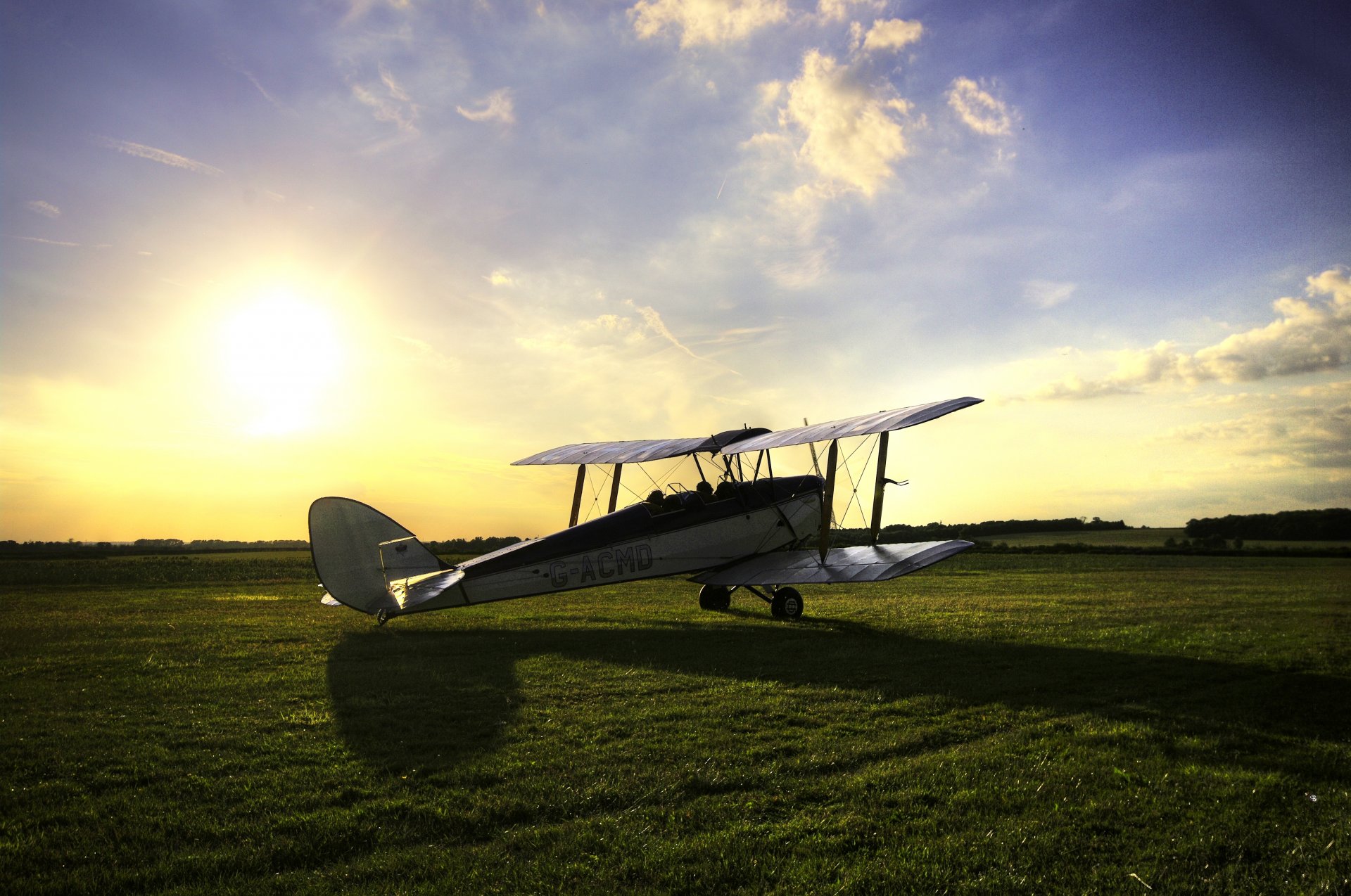 champ herbe tigre papillon tigre britannique entraînement avion biplan ciel soleil ombre