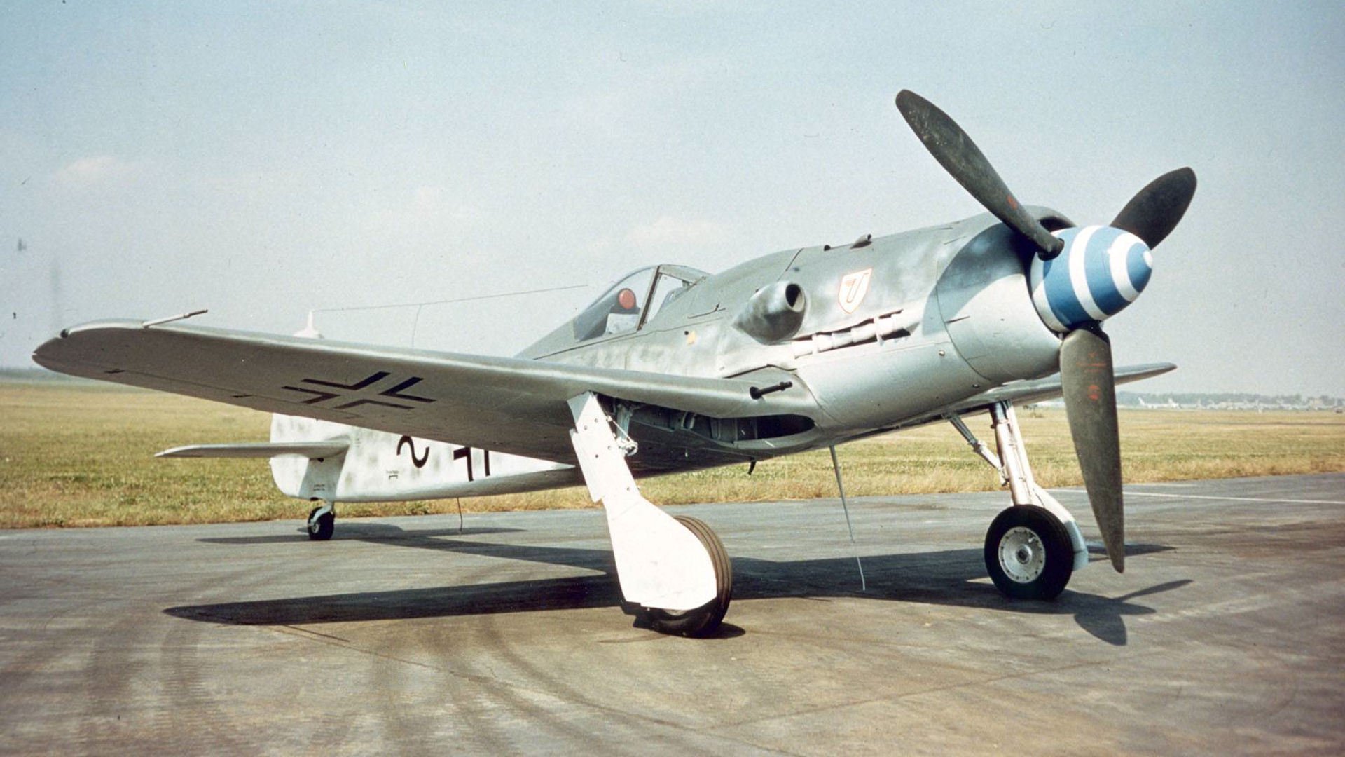 focke-wulf fw 190 wurger alcaudón luftwaffe foto