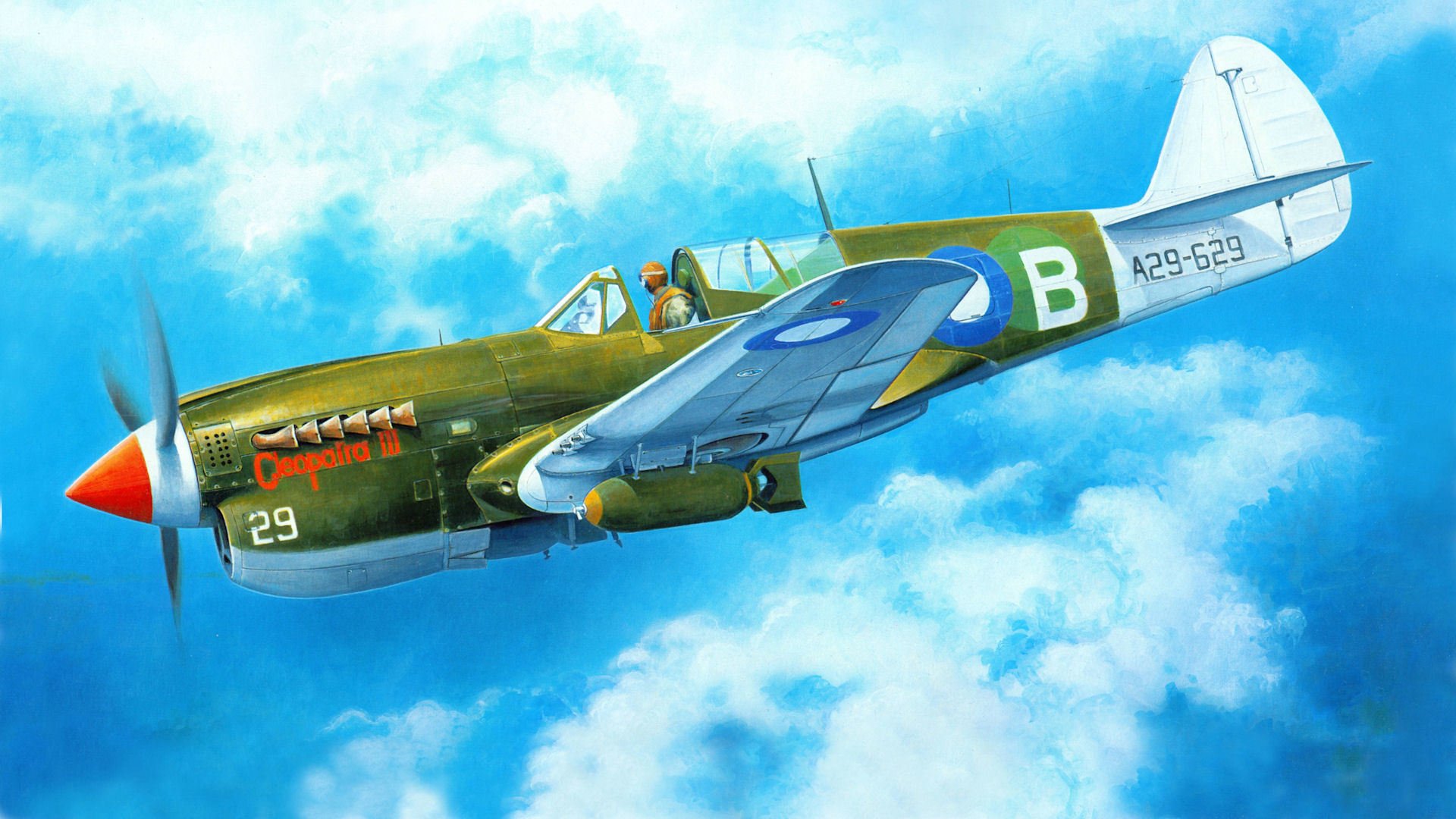 art plane curtiss p-40 warhawk tomahawk kittyhawk american fighter ww2