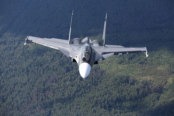 Ein umwerfender Kampfjet aus Russland über dem Wald