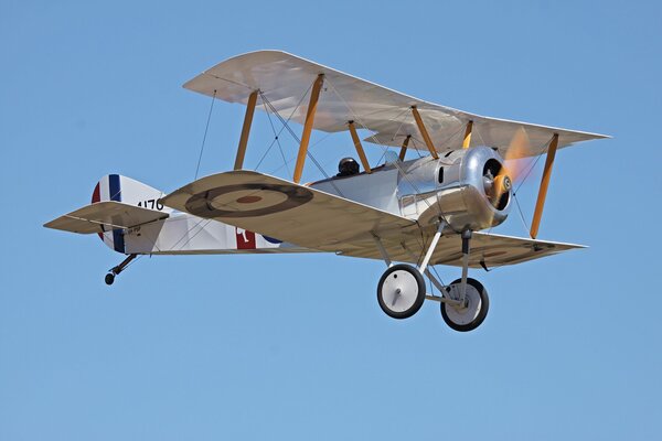 Beautiful photo of an airplane in the sky from the First World War