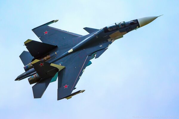 Su-30cm niebieski z gwiazdami na skrzydłach