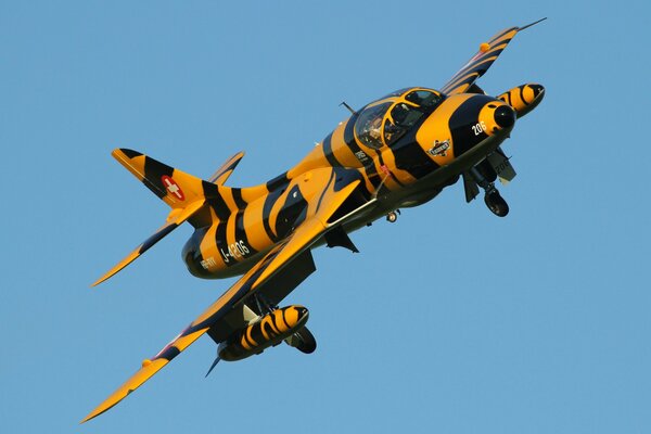 Chasseur bombardier couleur tigre dans le ciel