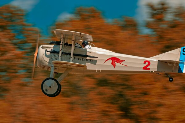 Caccia monoposto francese in volo