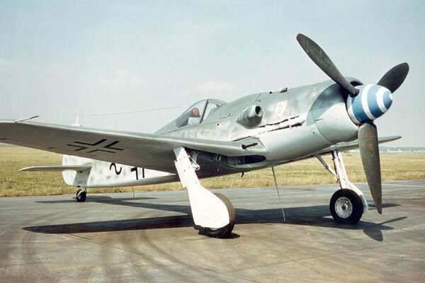 A beautiful plane is standing on the platform