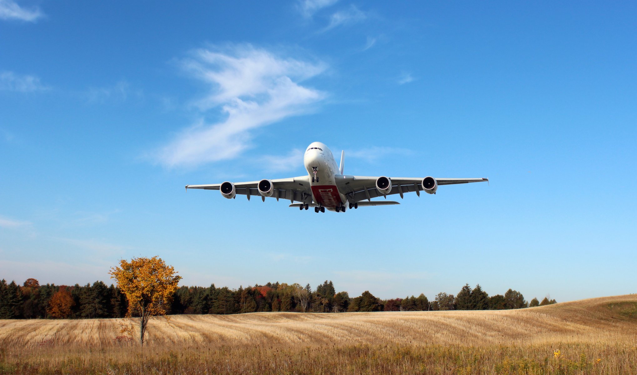 airbus a380 linie lotnicze emirates samolot pasażer samolot pasażerski lądowanie drzewa pole niebo dzień w powietrzu biały