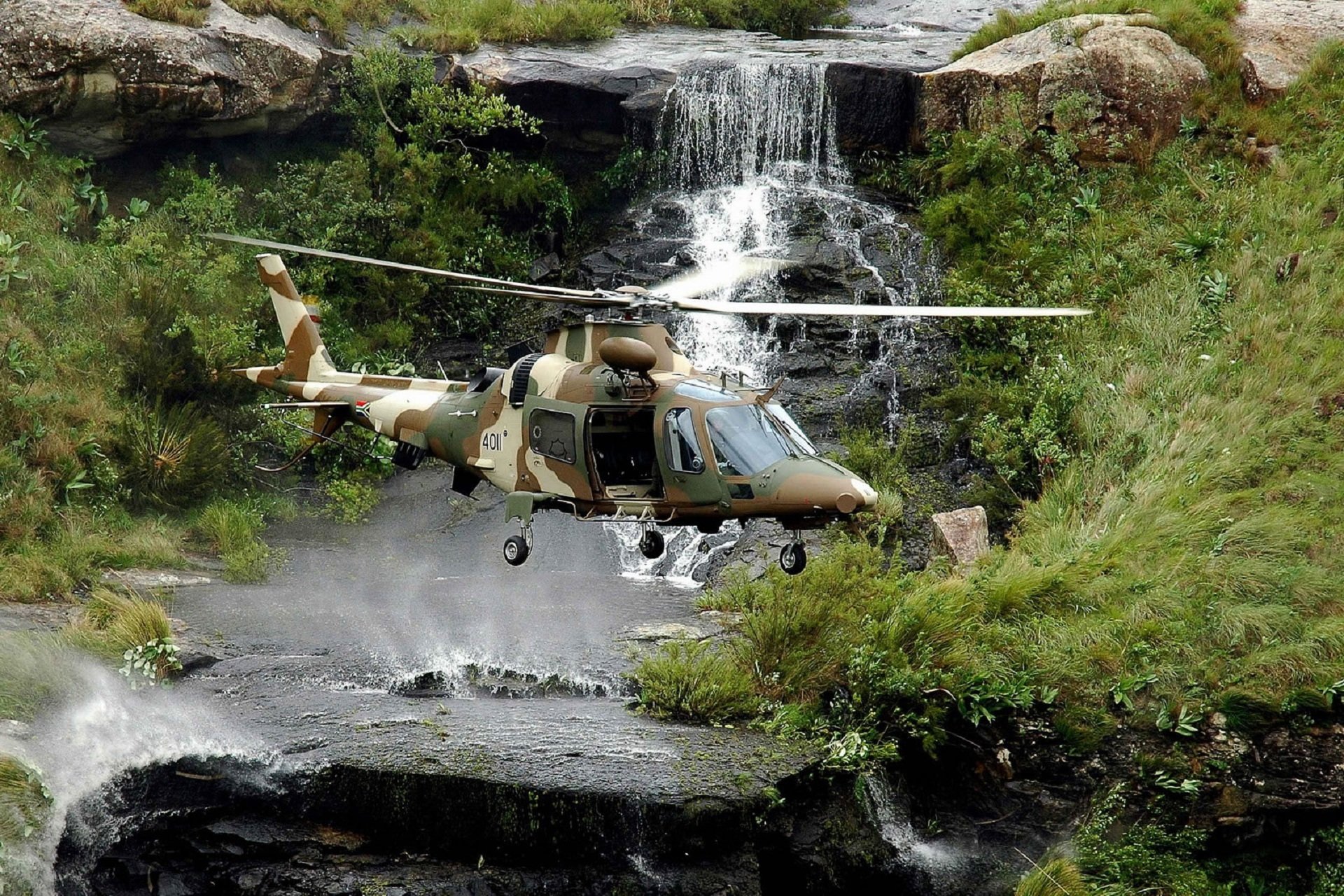 agusta a hirundo golondrina multiusos sudáfrica cascada piedras hierba