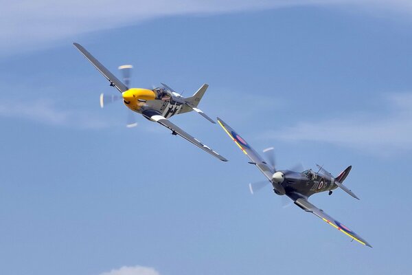 Avion modèle P51 dans le ciel