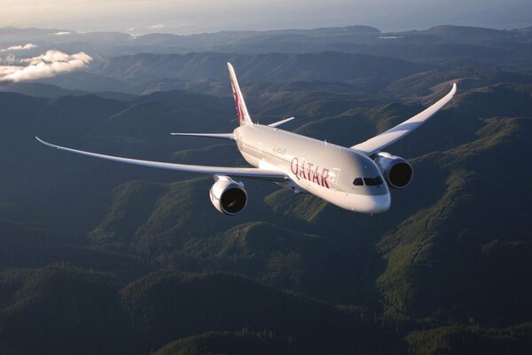 The airliner flies in the air over the green mountains