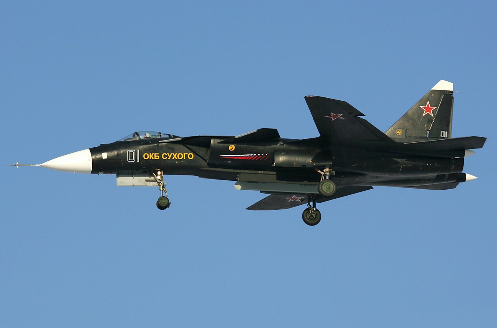 su-47 aquila reale secco