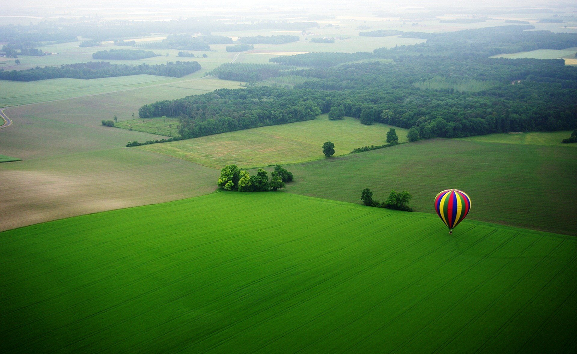 ballon farbe rot blau gelb wiese feld bäume natur schön