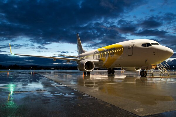 Boeing 737 power and grace in the sky