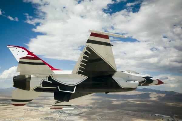 Kampfjet mit Vogelmuster im Flug