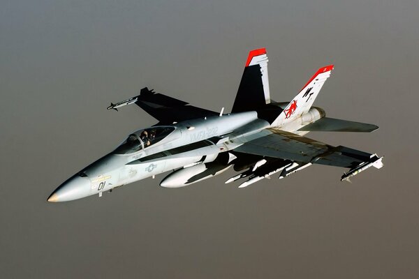 Hornet fighter, f-18 on a gray background