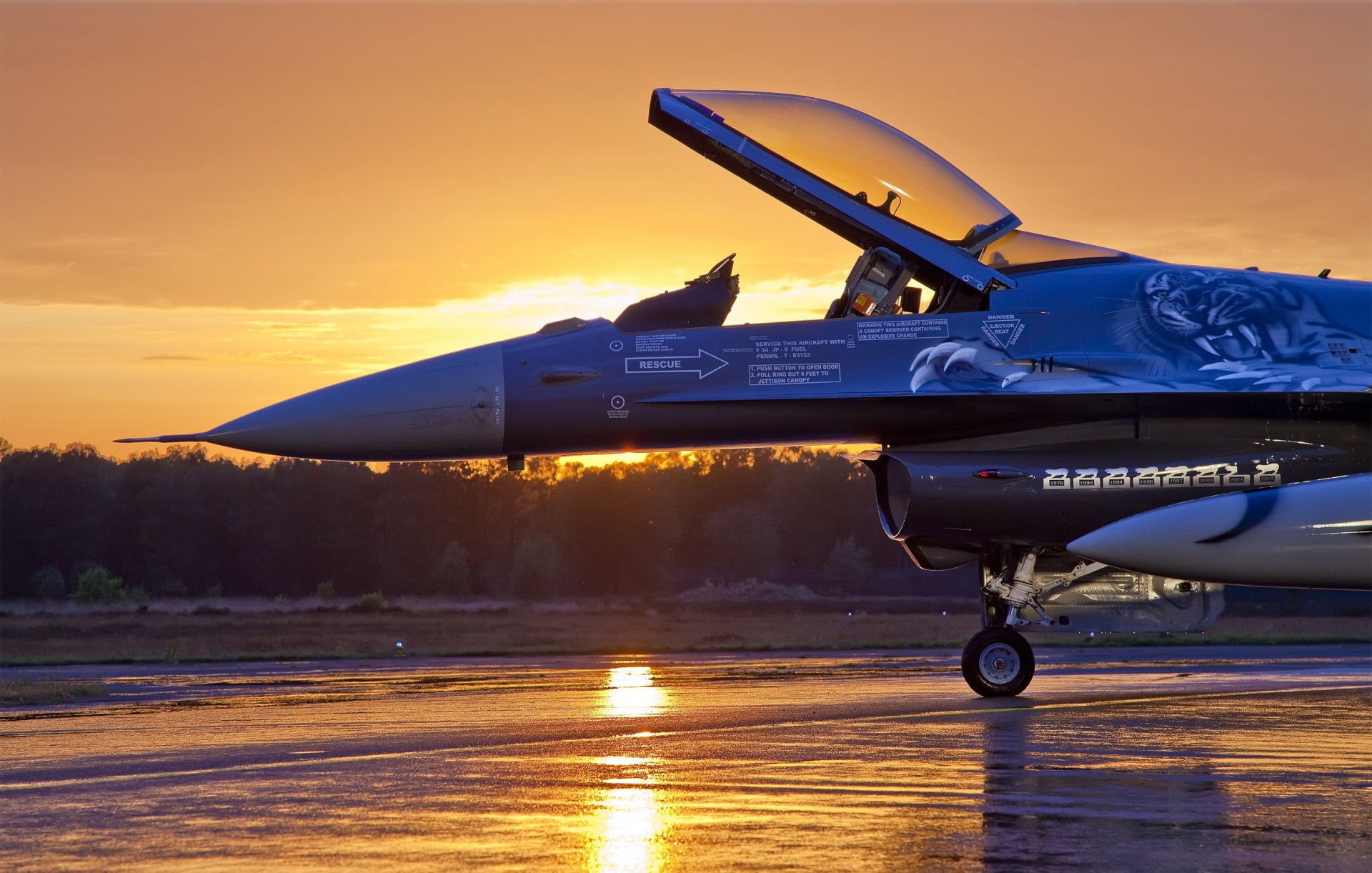 avión general dynamics f-16 fighting falcon luz multifuncional luchador cuarta generación aeródromo bosque árboles nubes cielo puesta de sol noche