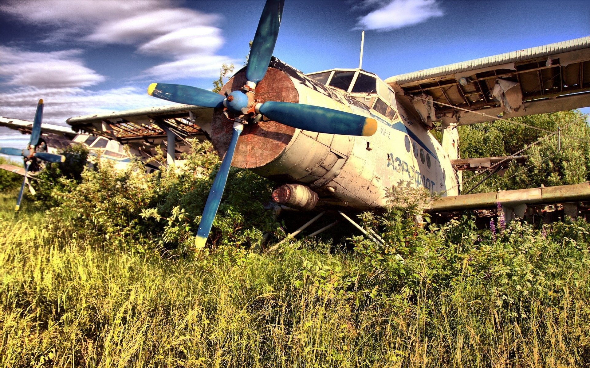 avión maíz hélice alas escombros