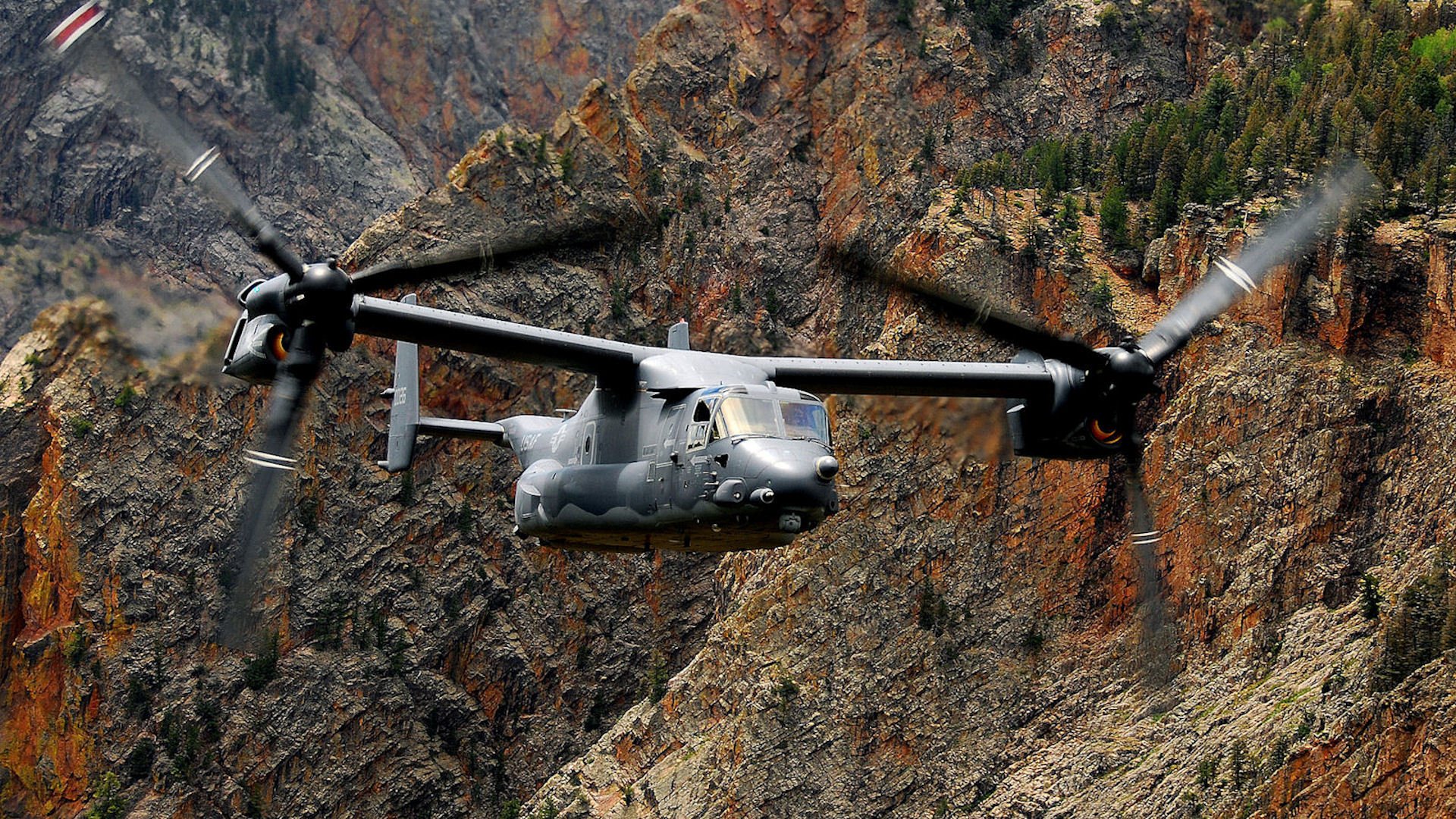 v-22 v-22 águila pescadora pib