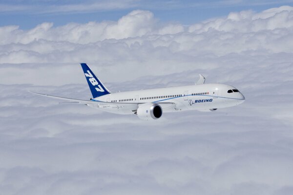 Beautiful Boeing 787-8 airplane in the clouds