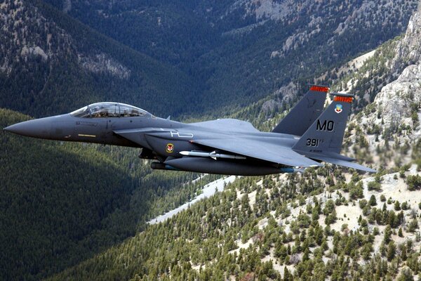 Caza, avión de montaña en el bosque