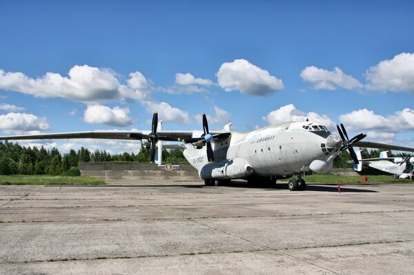 Avión de transporte de carga an-22 estacionado