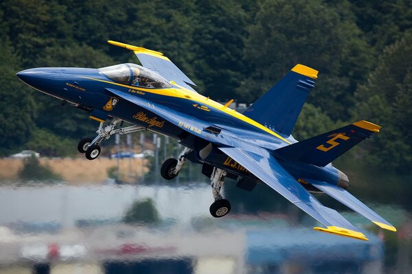 The fighter takes off, mountains and forest