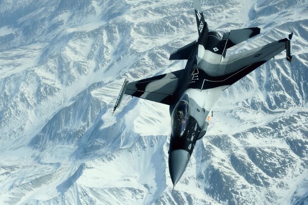 En el fondo blanco como la nieve de las montañas, se ve el vuelo de un luchador