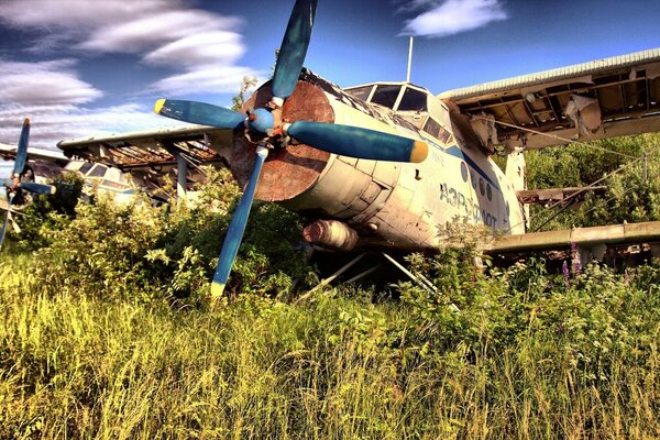 Airplane cemetery wreckage of the cornfield